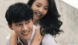 娱乐圈吃瓜鹅,揭秘明星背后的故事与真相